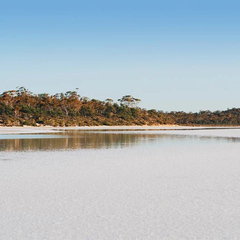 Ancient Lakes Revitalising Serum - Naturshopen.se